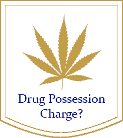 Drug Possession Charge?